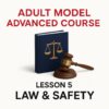 Law and Security Legal and Operational Protection for Adult Models