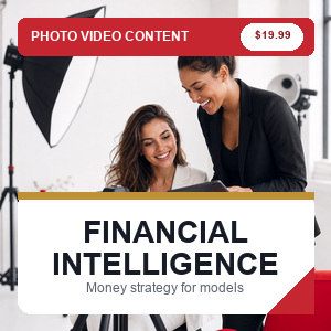 Financial Intelligence for Models